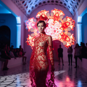 Wiscott Palace Immersive Fashion Event