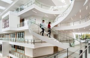 UCD O'Brien Centre