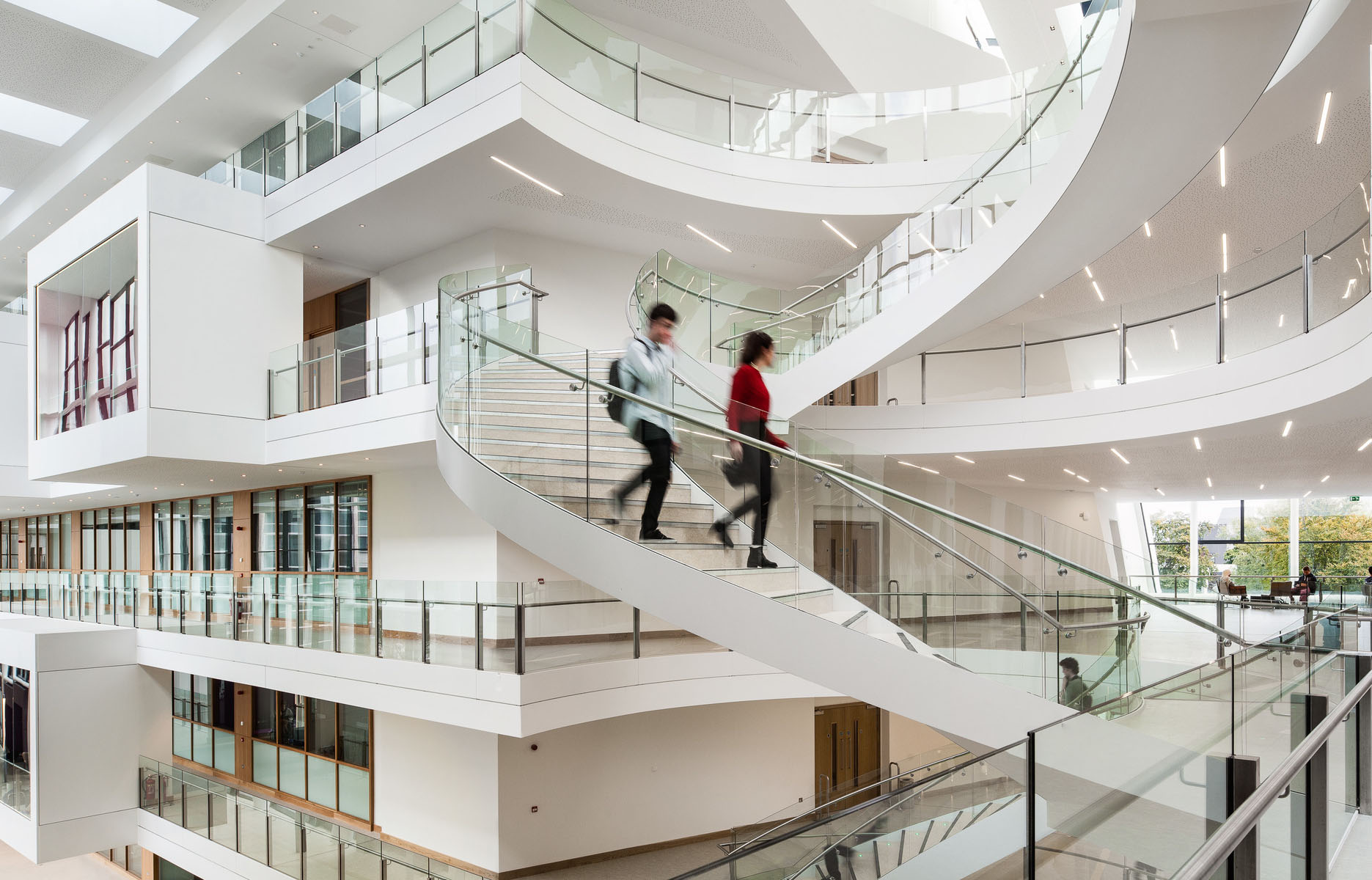 UCD O'Brien Centre